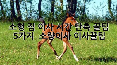 📦 소형 짐 이사, 시간 단축 꿀팁 5가지! ⏰ #소량이사 #이사꿀팁