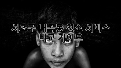 서초구 내곡동 청소 서비스 비교 가이드