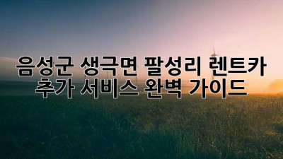 음성군 생극면 팔성리 렌트카: 추가 서비스 완벽 가이드