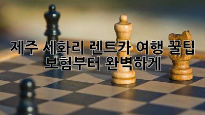 제주 세화리 렌트카 여행 꿀팁 🚗💨 보험부터 완벽하게!
