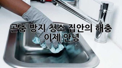 곤충 방지 청소: 집안의 해충, 이제 안녕!